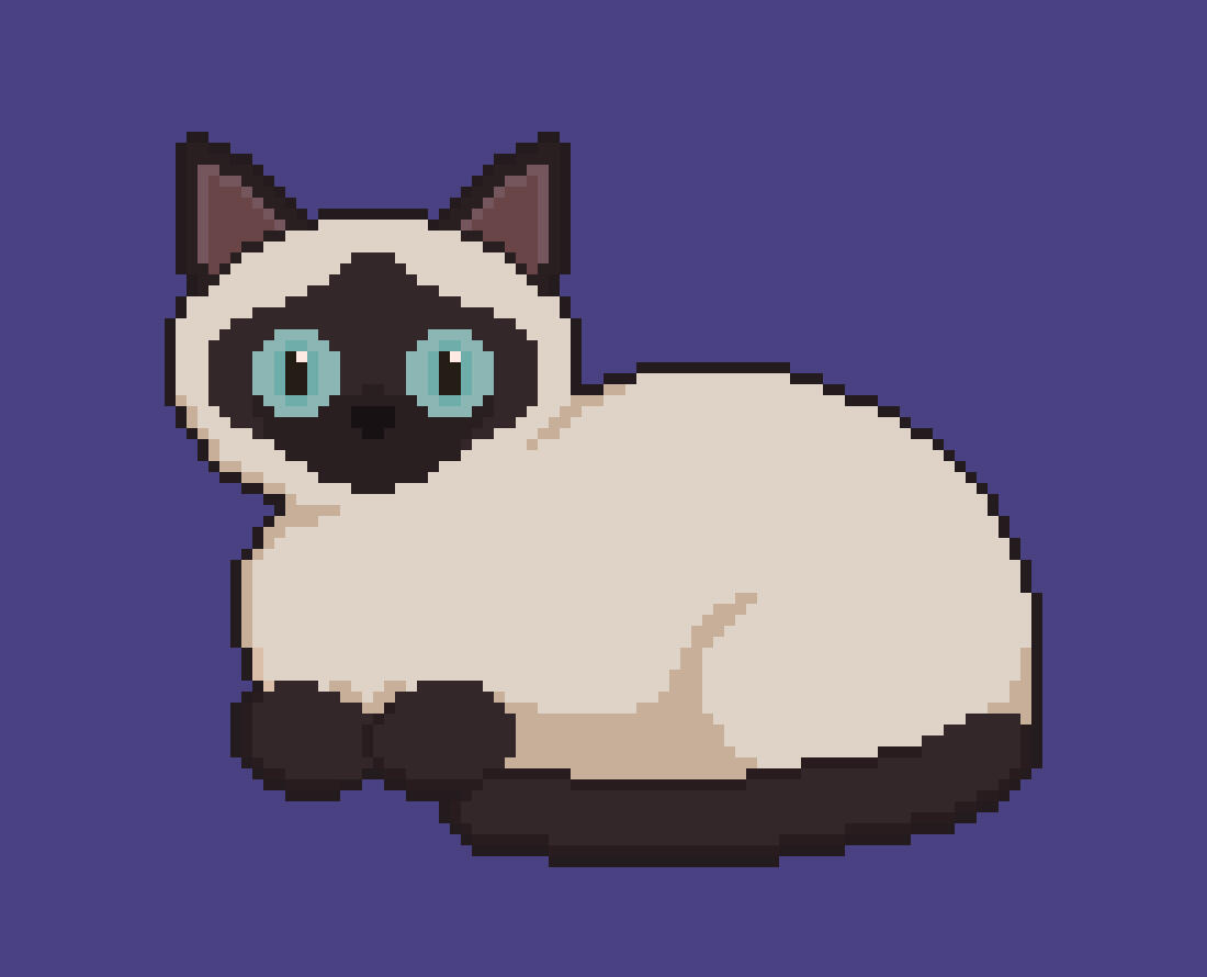 Siamese Kitty Cat